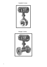 Preview for 6 page of KROHNE VFM 5090 Installation And Operating Instructions Manual