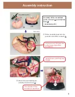 Preview for 5 page of Kyoto Kagaku ECHO-ZOU Instruction Manual