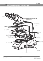 Preview for 9 page of Labomed Lx 500 User Manual