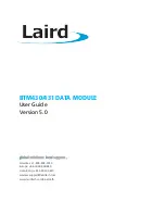 Laird BTM430 User Manual preview