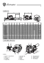 Preview for 8 page of Lamborghini Caloreclima 140 PM/2-E Installation And Maintenance Manual