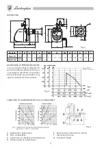 Preview for 11 page of LAMBORGHINI TWIN 13-E Installation And Maintenance Manual