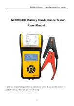 Lancol MICRO-300 User Manual preview