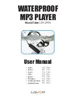 Lavod MusicTube LFA-299 Series User Manual preview