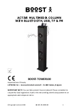 LOTRONIC BOOST TOWER100 Manual preview