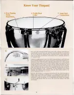 Preview for 6 page of Ludwig Timpani Owner'S Manual