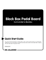 M-Audio Black Box Pedal Board Quick Start Manual preview