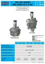 Madas FRG-RG/2MCSH Manual preview