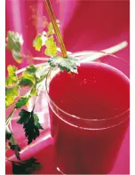 Preview for 59 page of MAGIMIX JUICE EXTRACTOR SMOOTHIEMIX Manual