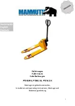 Mammuth PT20L095 Installation And Operating Instructions Manual preview