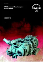 Man D 2866 LUE 602 Repair Manual preview