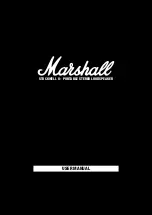 Marshall Amplification STOCKWELL II User Manual preview