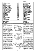 Preview for 3 page of Mecc Alte ECO 28 1L Operating And Maintenance Instructions Manual