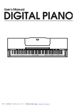 Preview for 1 page of Medeli DP268 User Manual