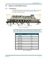 Preview for 69 page of Memotec NetPerformer SDM-9600 Hardware Installation Manual