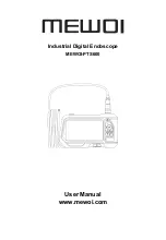 MEWOI MEWOI-PTS600 User Manual preview