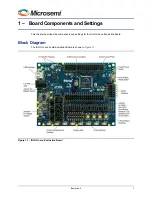 Preview for 7 page of Microsemi IGLOO nano Starter Kit User Manual