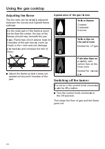 Preview for 44 page of Miele 11 919 010 Operating Instructions Manual