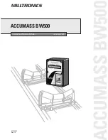 Milltronics ACCUMASS BW500 Instruction Manual preview