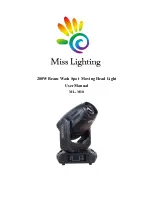 MISS LIGHTING ML-M10 User Manual preview