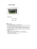 MJ Technology MJ7HDTV Manual preview