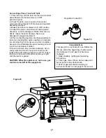 Preview for 17 page of Monument Grills 17842 Assembly & Operating Instructions