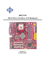 Preview for 1 page of MSI MS-6743G Manual