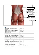 Preview for 25 page of MUJE M2 Manual