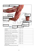 Preview for 26 page of MUJE M2 Manual