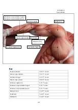 Preview for 49 page of MUJE M2 Manual