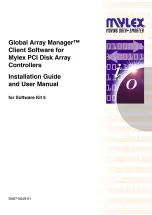 Mylex Global Array Manager Installation Manual And User'S Manual preview