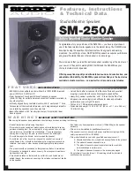 Nady Audio SM-250A Features, Instructions & Technical Data preview