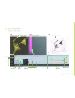 Preview for 39 page of Nanolive 3D Cell Explorer-fluo User Manual