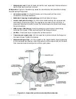 Preview for 61 page of NAVEDTRA 14050a Manual