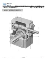 Preview for 14 page of NBE BRAWN MIXER BWG Series Operation And Maintenance Manual