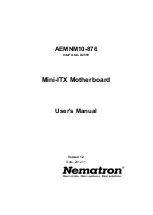 Nematron AEMNM10-876 User Manual preview