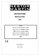 NESTOR MARTIN C15 Instruction Manual preview