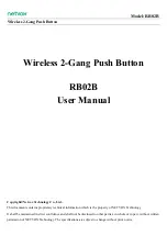 netvox RB02B User Manual preview