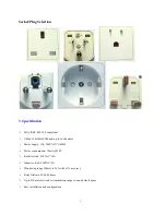 Preview for 4 page of netvox Z809A User Manual