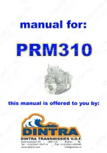 Newage PRM 310 Workshop Manual preview