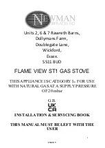 Newman FLAME VIEW ST1 Installation & Servicing Book preview