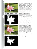 Preview for 96 page of Nikon 25338 User Manual