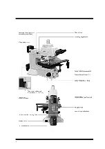 Preview for 13 page of Nikon Eclipse L200 Instructions Manual