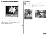 Preview for 20 page of Nikon Scan User Manual