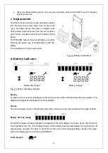 Preview for 21 page of Noblelift PSE12BD Instruction Handbook Manual