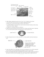 Preview for 7 page of Northern Industrial Tools 998253 Owner'S Manual