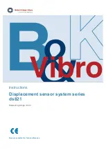 NSK Bruel & Kjaer Vibro ds821 Series Instructions Manual preview