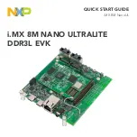 NXP Semiconductors 8MNANOD3L-EVK Quick Start Manual preview