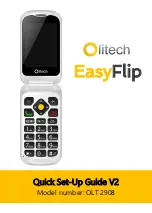 Olitech EasyFlip OLT2908 Quick Setup Manual preview