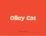 Preview for 1 page of Olley Cat Cube Assembly Instructions